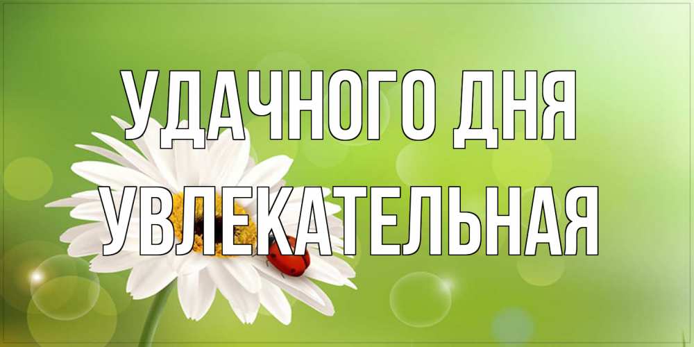 Открытка на каждый день с именем, Увлекательная Удачного дня зеленый фон и ромашка Прикольная открытка с пожеланием онлайн скачать бесплатно 