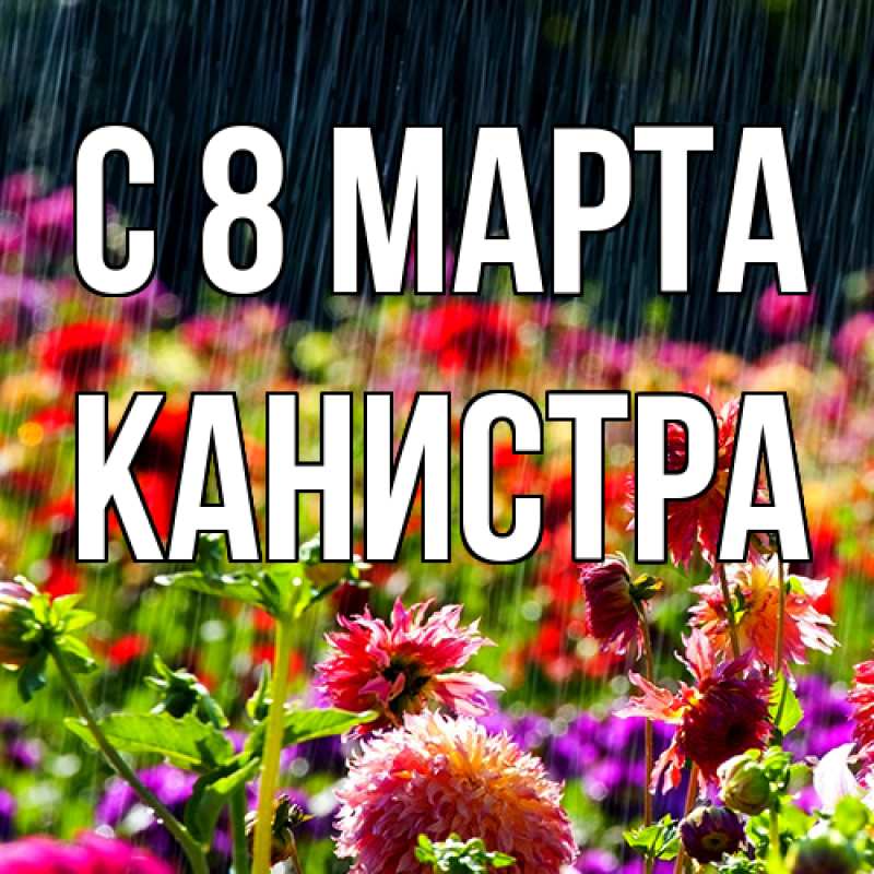 Картинка C 8 МАРТА, Канистра