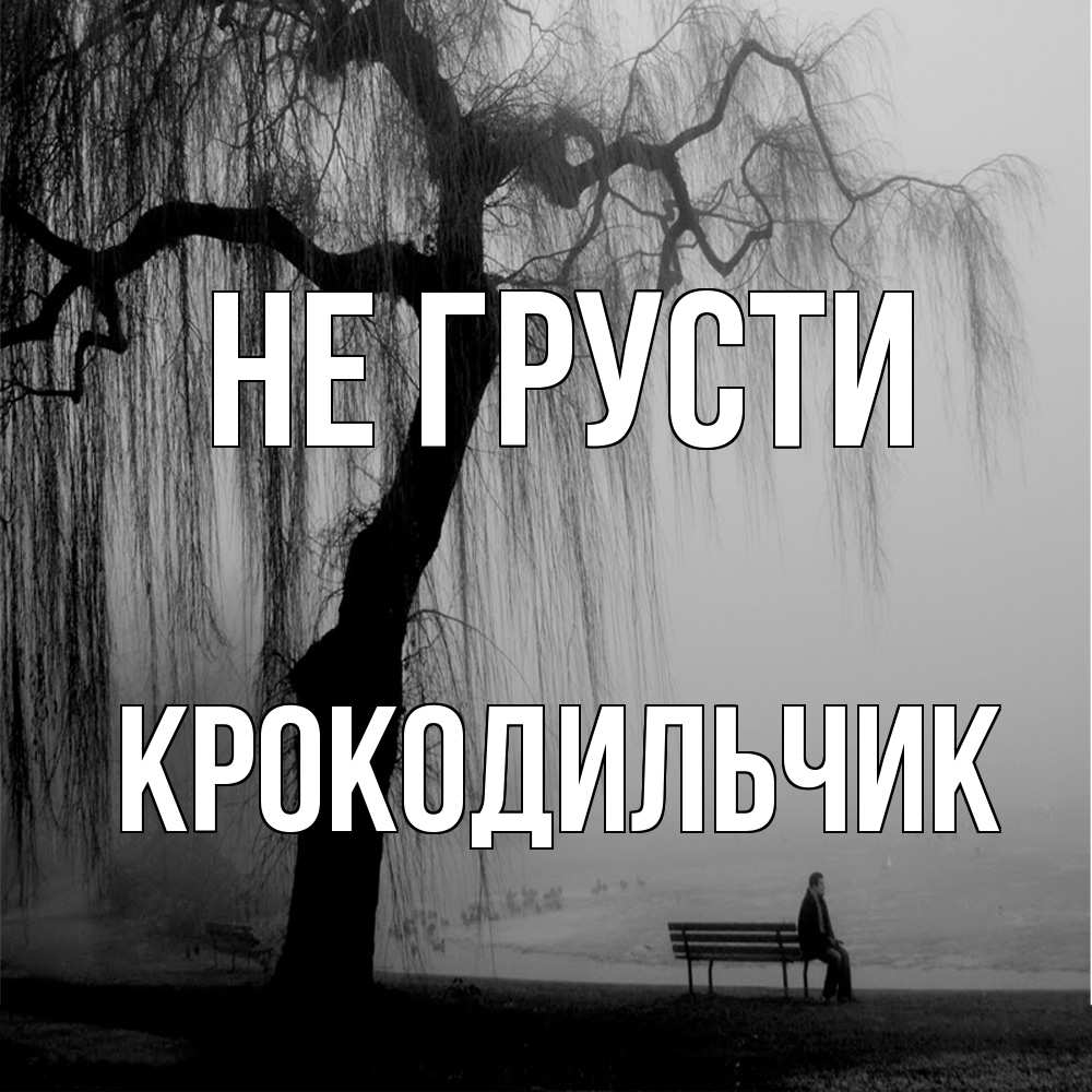Открытка на каждый день с именем, Крокодильчик Не грусти висящие ветки дерева и лавочка под деревом Прикольная открытка с пожеланием онлайн скачать бесплатно 