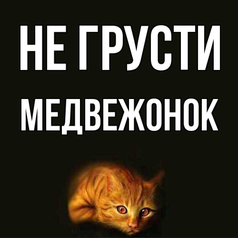 Открытка на каждый день с именем, медвежонок Не грусти лежащий кот в темноте Прикольная открытка с пожеланием онлайн скачать бесплатно 
