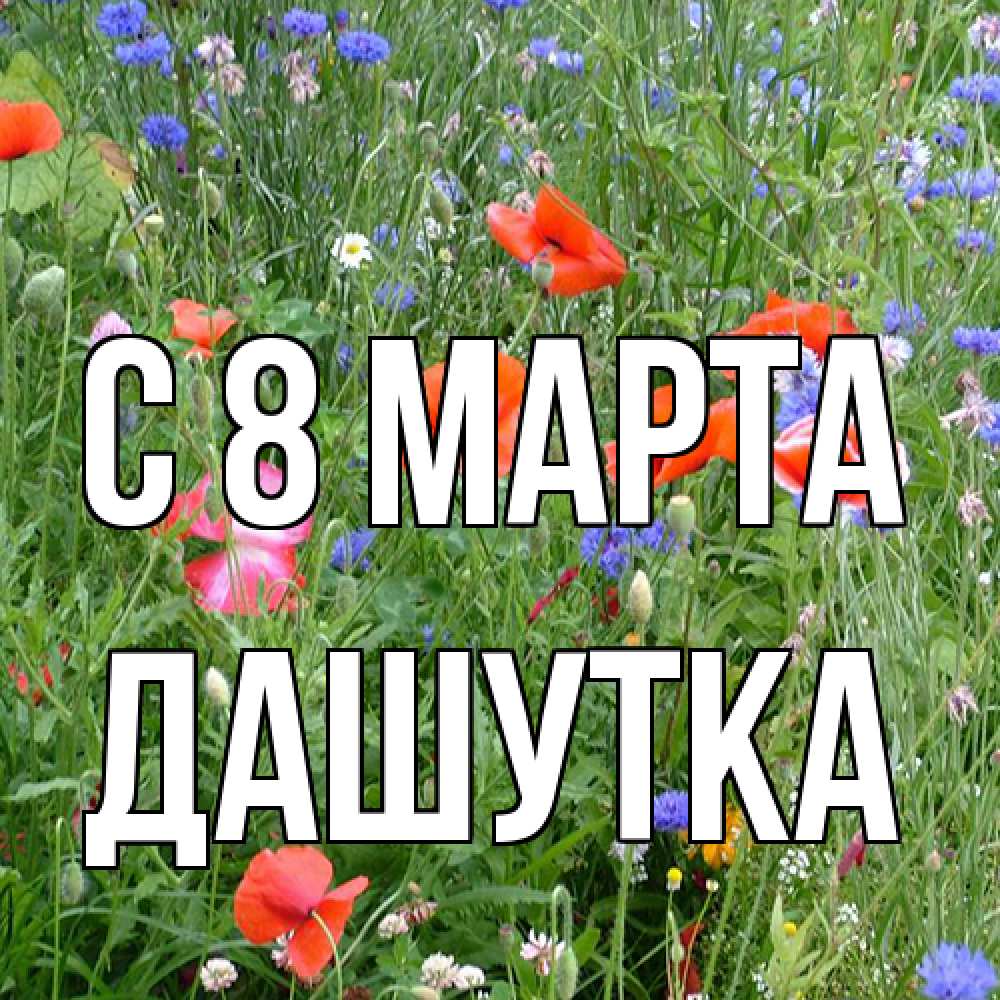 Открытка на каждый день с именем, Дашутка C 8 МАРТА международный женский день 4 Прикольная открытка с пожеланием онлайн скачать бесплатно 