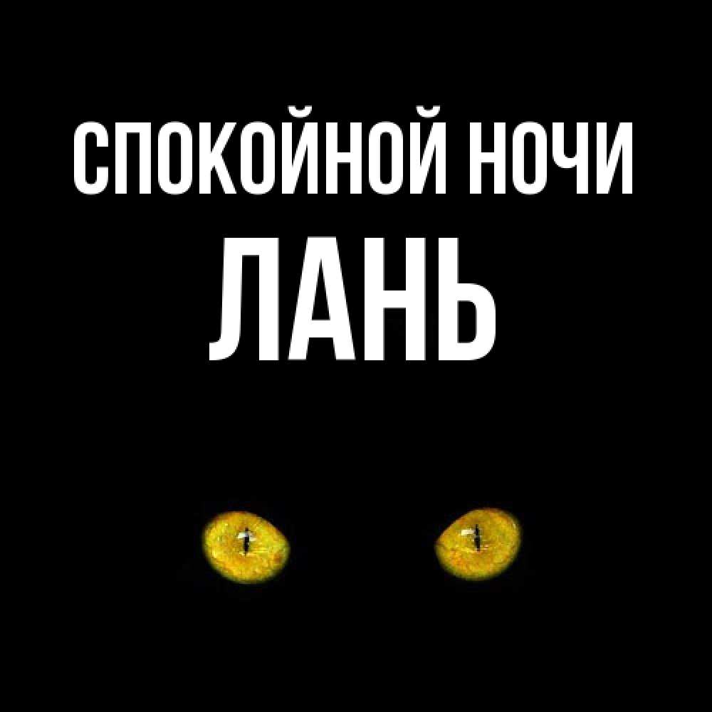 Открытка на каждый день с именем, лань Спокойной ночи сладких снов бесстрашный мой дружочек Прикольная открытка с пожеланием онлайн скачать бесплатно 