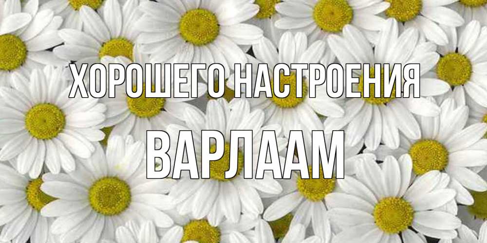 Открытка на каждый день с именем, Варлаам Хорошего настроения поляна ромашек Прикольная открытка с пожеланием онлайн скачать бесплатно 