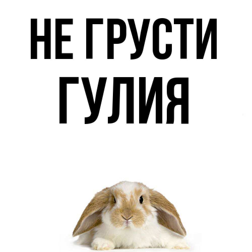 Открытка на каждый день с именем, Гулия Не грусти коричнево белый заяц с большими ушками Прикольная открытка с пожеланием онлайн скачать бесплатно 