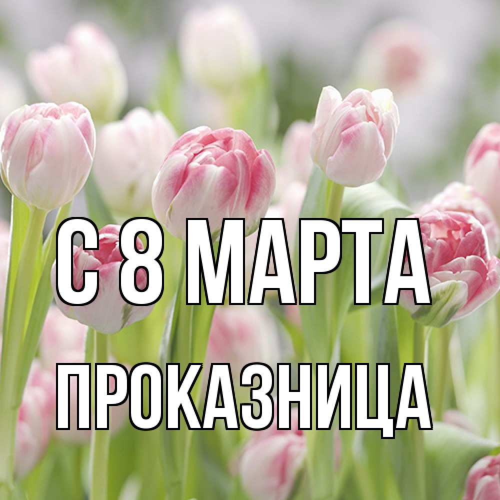Открытка на каждый день с именем, Проказница C 8 МАРТА цветы Прикольная открытка с пожеланием онлайн скачать бесплатно 