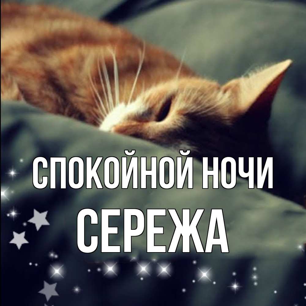 Открытка на каждый день с именем, Сережа Спокойной ночи кроватка Прикольная открытка с пожеланием онлайн скачать бесплатно 