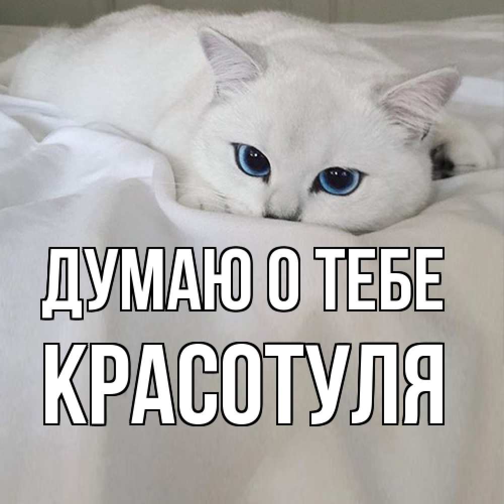 Открытка на каждый день с именем, Красотуля Думаю о тебе я очень по тебе скучаю и тоскую Прикольная открытка с пожеланием онлайн скачать бесплатно 