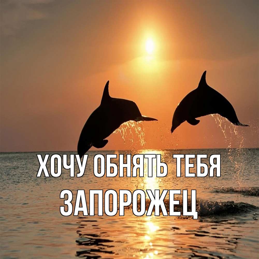 Открытка на каждый день с именем, Запорожец Хочу обнять тебя рыбы на закате Прикольная открытка с пожеланием онлайн скачать бесплатно 