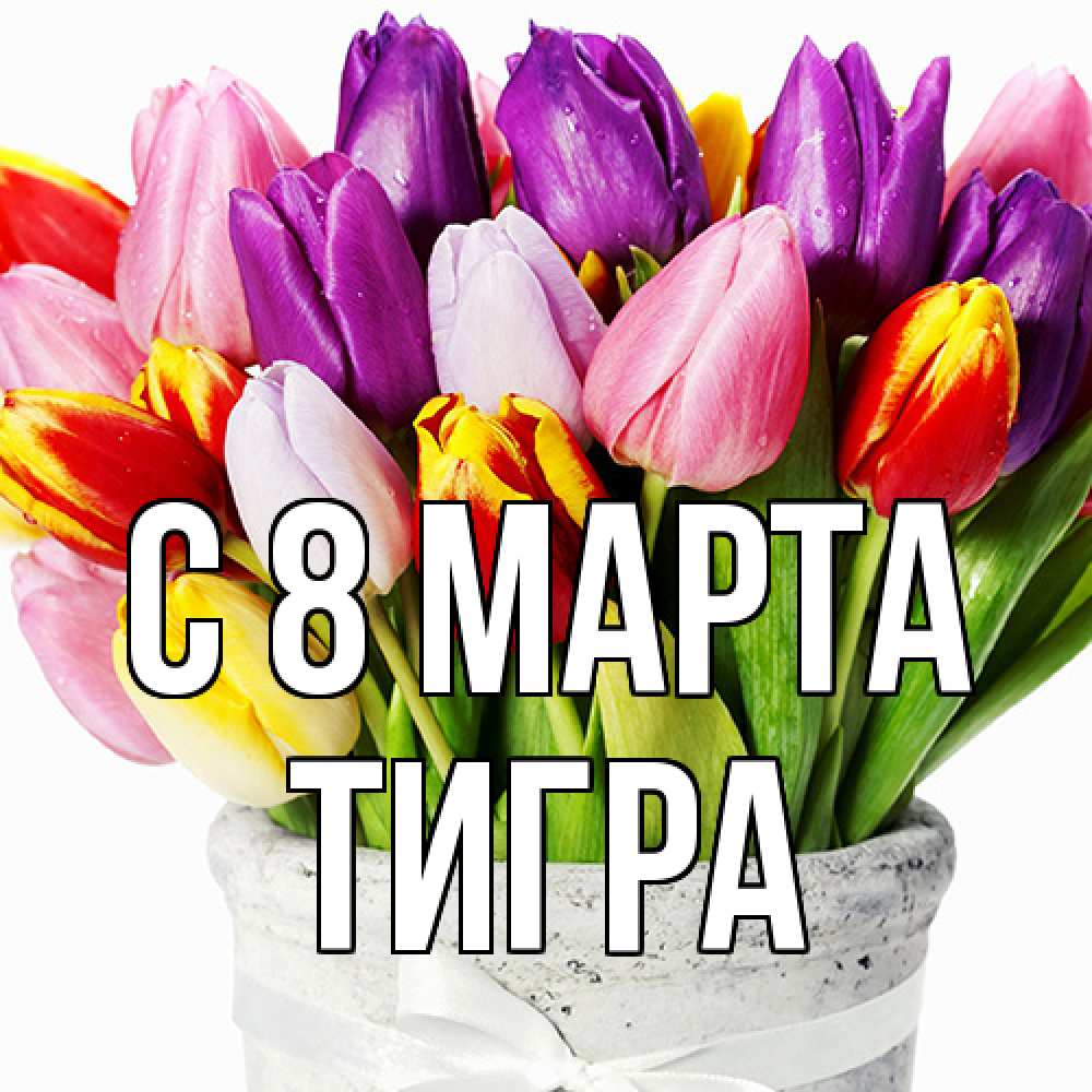 Открытка на каждый день с именем, Тигра C 8 МАРТА букет Прикольная открытка с пожеланием онлайн скачать бесплатно 
