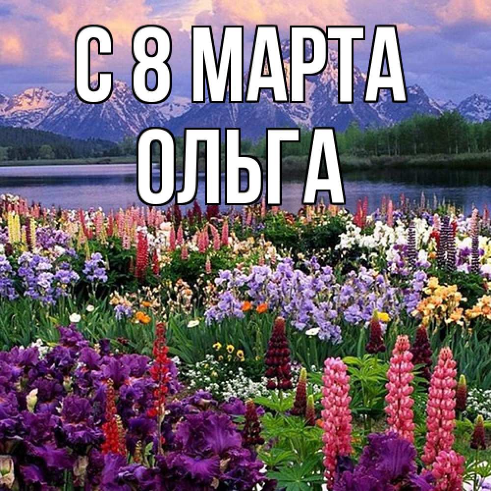 Открытка на каждый день с именем, Ольга C 8 МАРТА международный женский день Прикольная открытка с пожеланием онлайн скачать бесплатно 