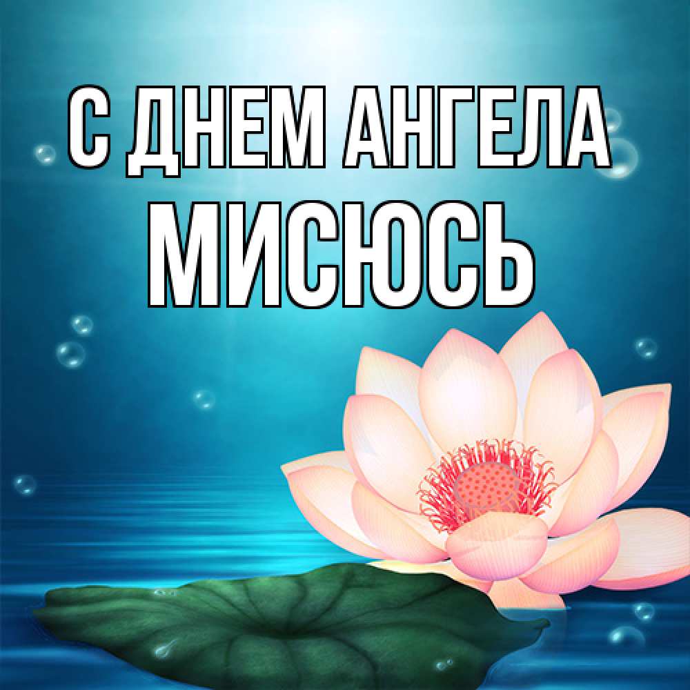 Открытка на каждый день с именем, мисюсь С днем ангела кувшинка Прикольная открытка с пожеланием онлайн скачать бесплатно 