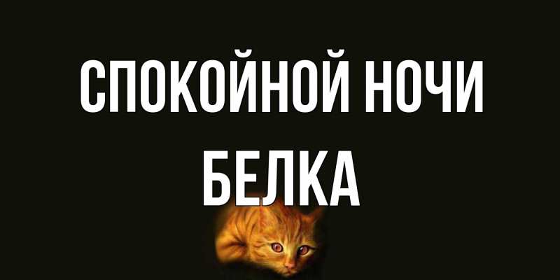 Картинка Спокойной ночи, Белка