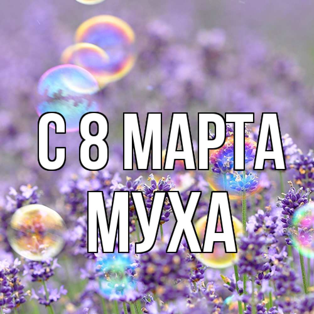 Открытка на каждый день с именем, Муха C 8 МАРТА цветы Прикольная открытка с пожеланием онлайн скачать бесплатно 