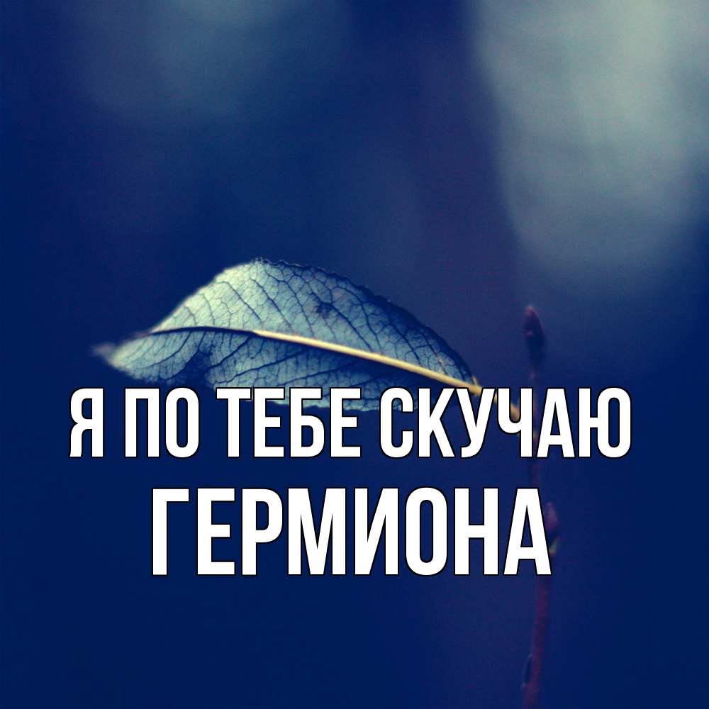 Открытка на каждый день с именем, Гермиона Я по тебе скучаю одна ветка 1 Прикольная открытка с пожеланием онлайн скачать бесплатно 