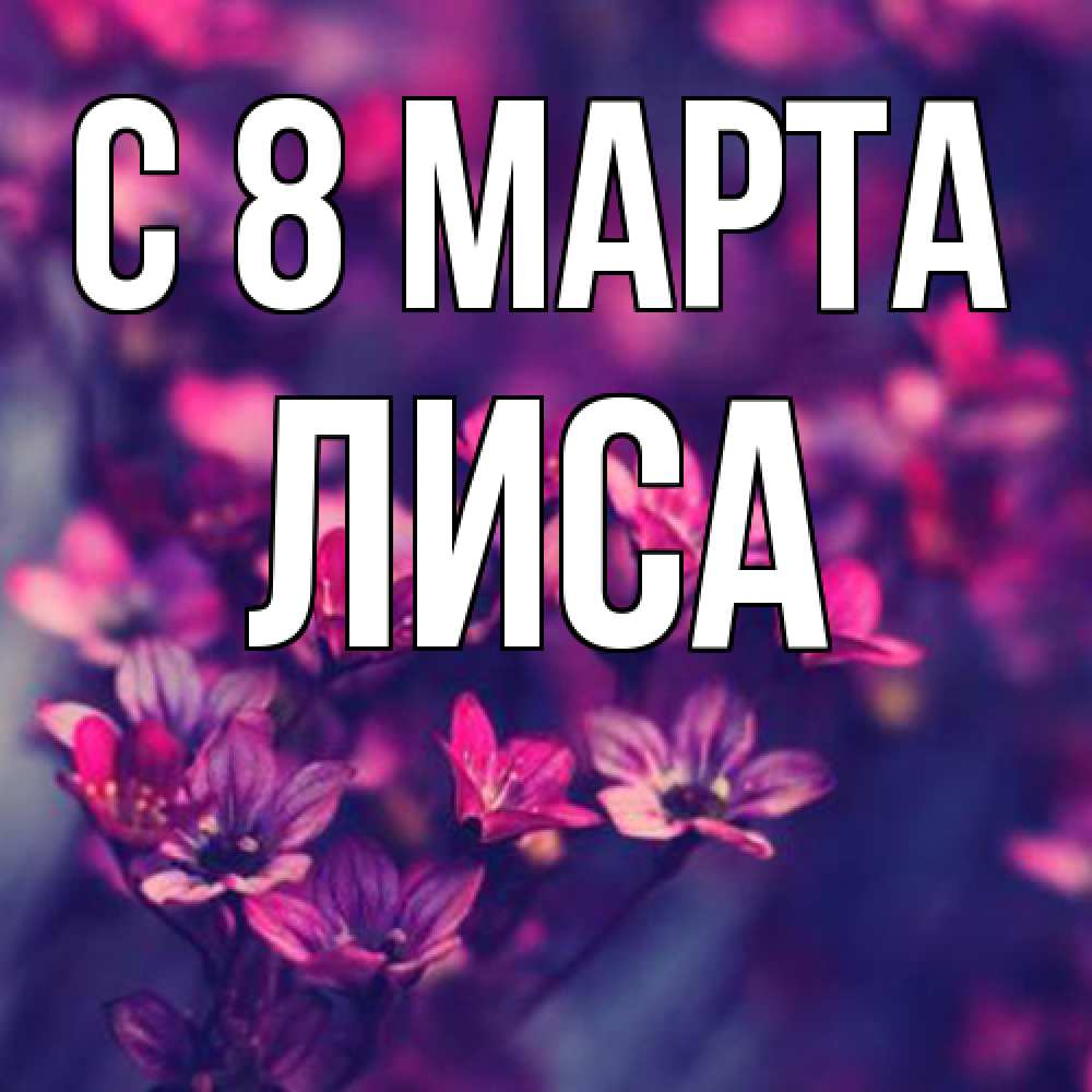 Открытка на каждый день с именем, лиса C 8 МАРТА небольшие цветы 1 Прикольная открытка с пожеланием онлайн скачать бесплатно 