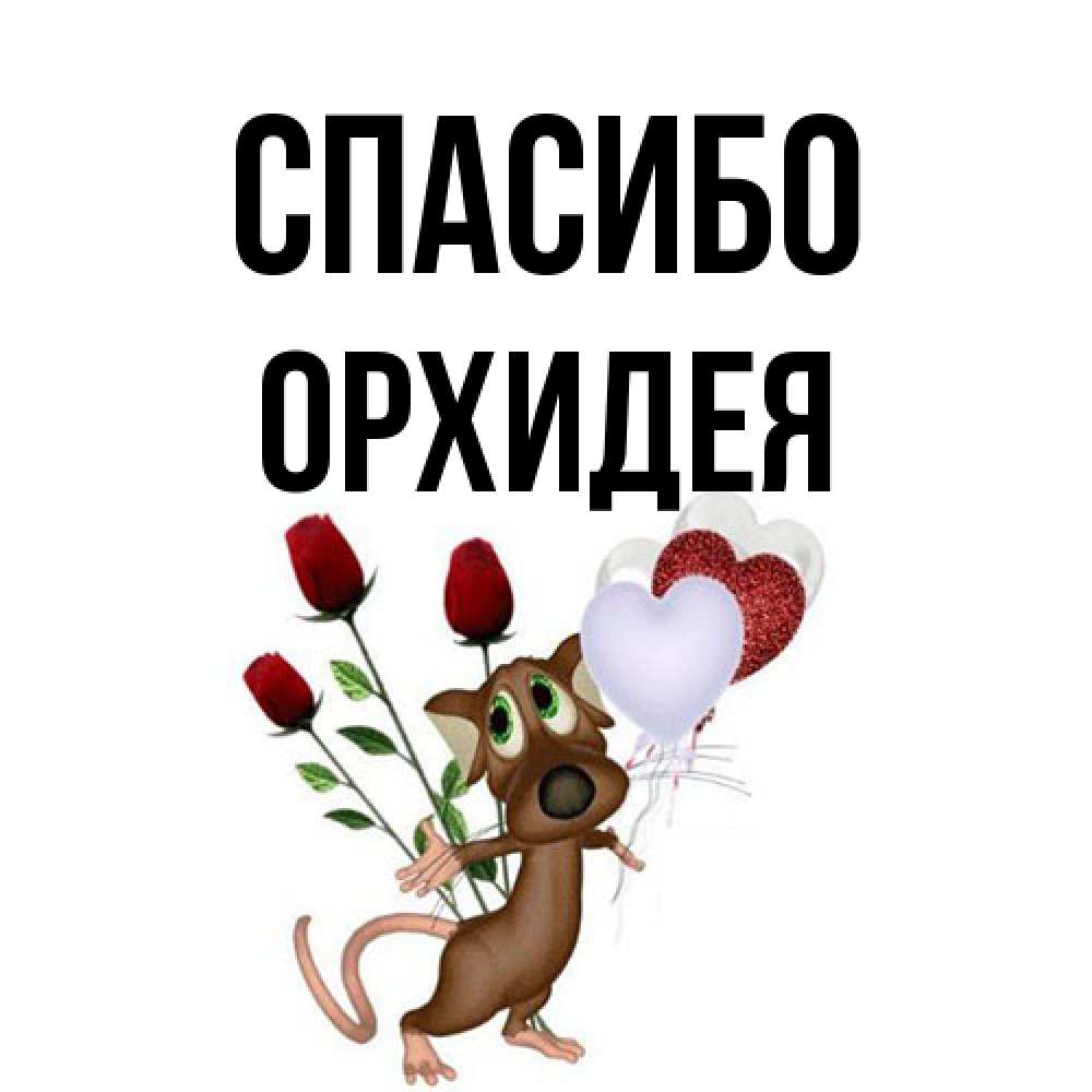Открытка на каждый день с именем, Орхидея Спасибо песик с шариками в форме сердец Прикольная открытка с пожеланием онлайн скачать бесплатно 