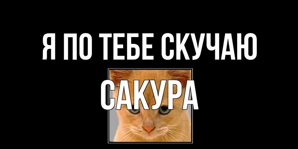 Открытка на каждый день с именем, Сакура Я по тебе скучаю открытки рыжий котенок скучает по тебе Прикольная открытка с пожеланием онлайн скачать бесплатно 