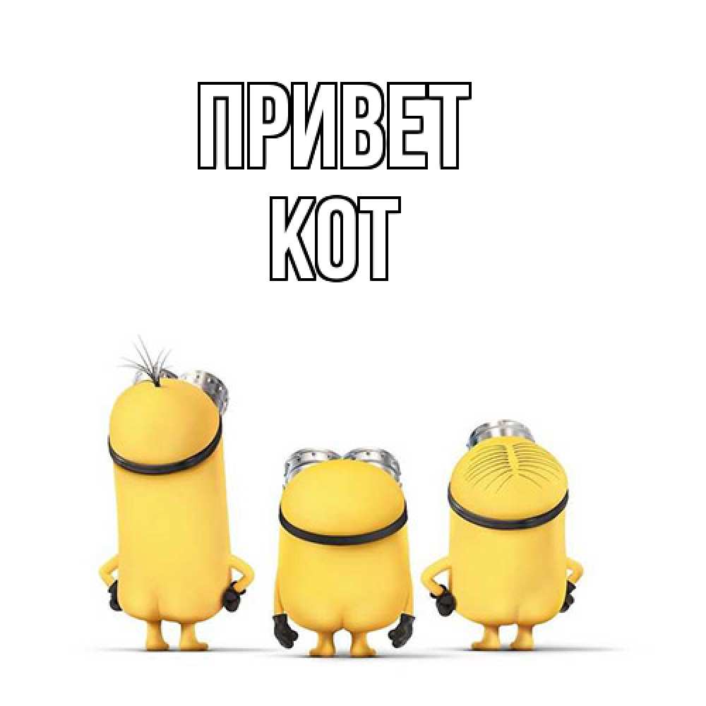 Открытка на каждый день с именем, Кот Привет приветики Прикольная открытка с пожеланием онлайн скачать бесплатно 