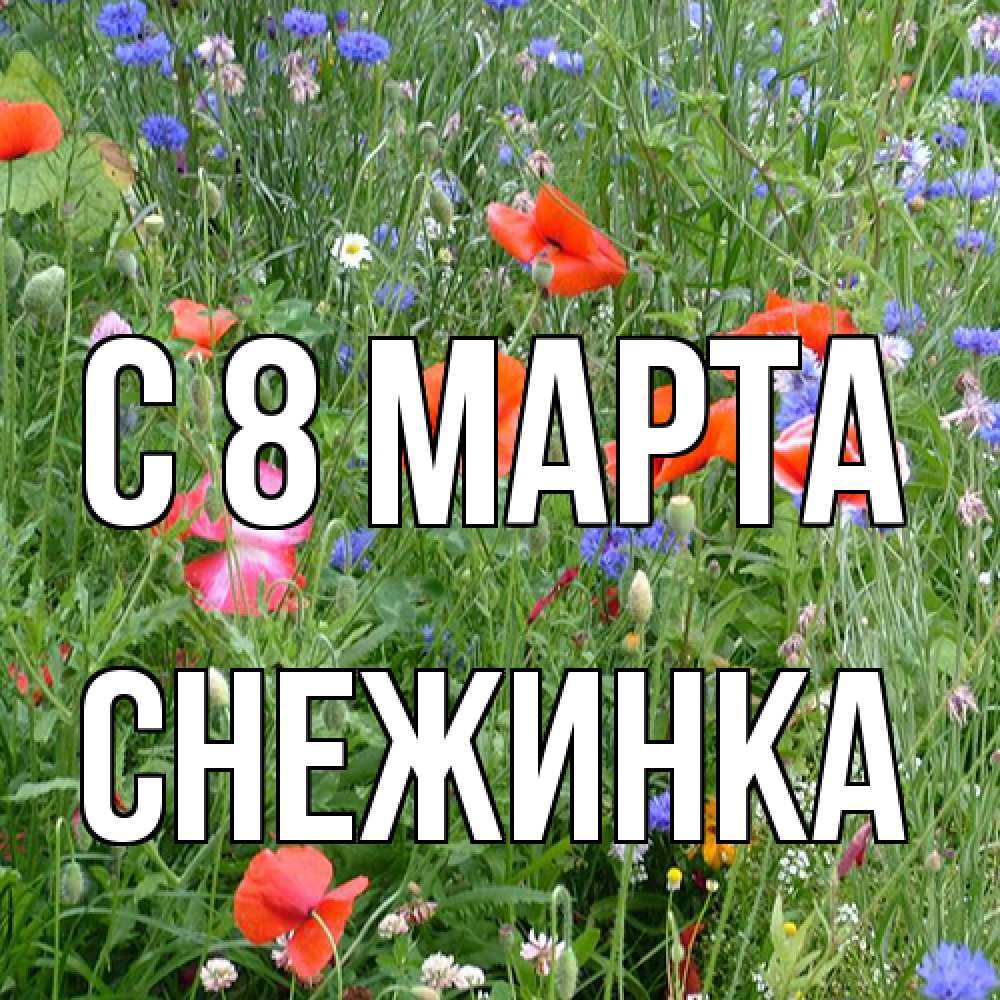 Открытка на каждый день с именем, Снежинка C 8 МАРТА международный женский день 4 Прикольная открытка с пожеланием онлайн скачать бесплатно 