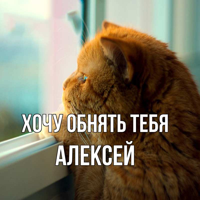 Картинка Хочу обнять тебя, Алексей