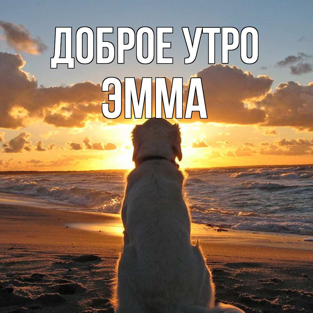 Открытка на каждый день с именем, Эмма Доброе утро восход солнца Прикольная открытка с пожеланием онлайн скачать бесплатно 