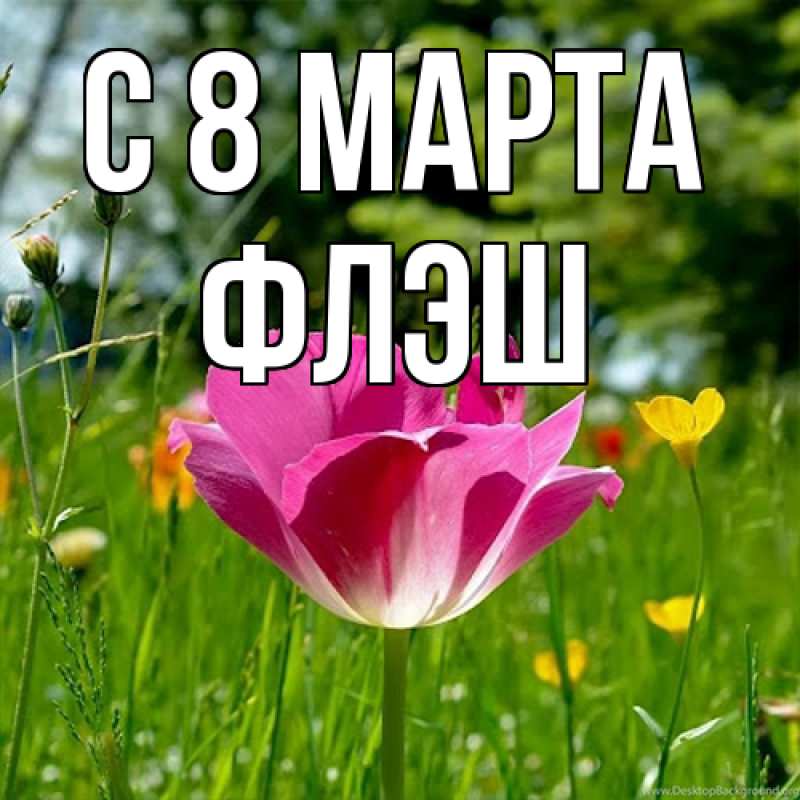 Картинка C 8 МАРТА, Флэш