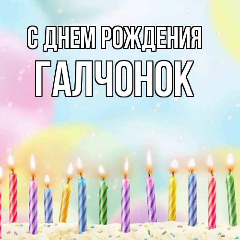 Картинка С днем рождения, галчонок