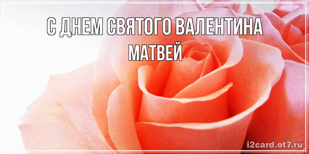 Открытка на каждый день с именем, Матвей С днем Святого Валентина открытка на день Святого Валентина с розовой розой Прикольная открытка с пожеланием онлайн скачать бесплатно 