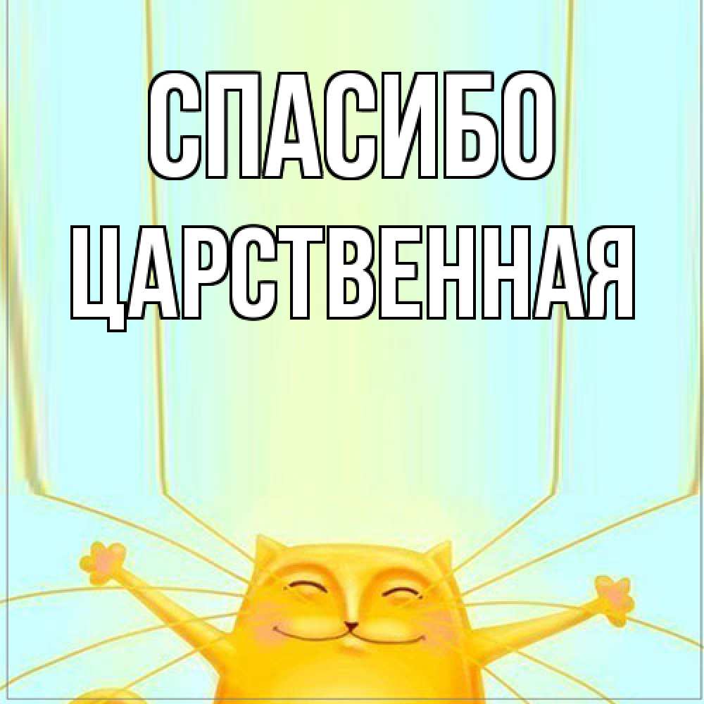 Открытка на каждый день с именем, Цаpственная Спасибо кот с усами благодарит Прикольная открытка с пожеланием онлайн скачать бесплатно 