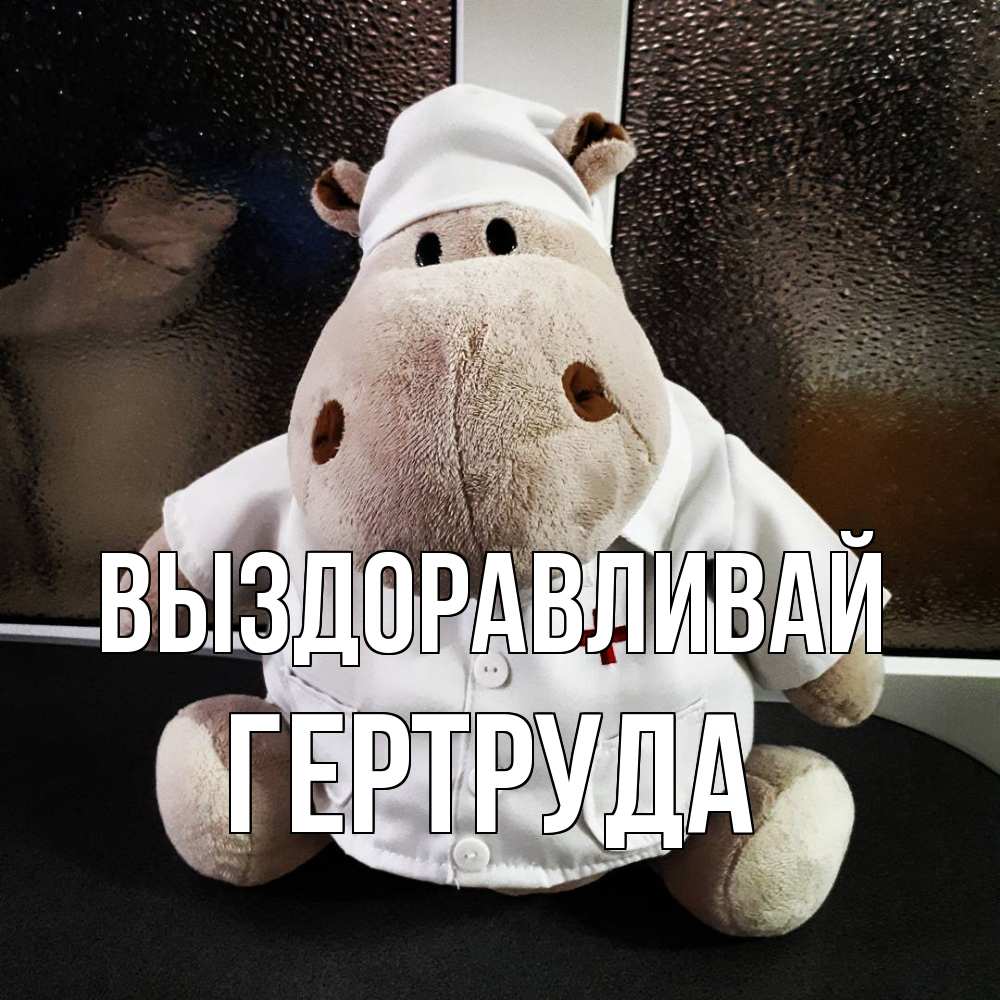 Открытка на каждый день с именем, Гертруда Выздоравливай всех излечит исцелит Прикольная открытка с пожеланием онлайн скачать бесплатно 