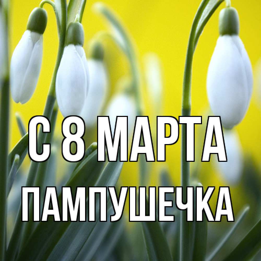 Открытка на каждый день с именем, пампушечка C 8 МАРТА весенние цветы Прикольная открытка с пожеланием онлайн скачать бесплатно 