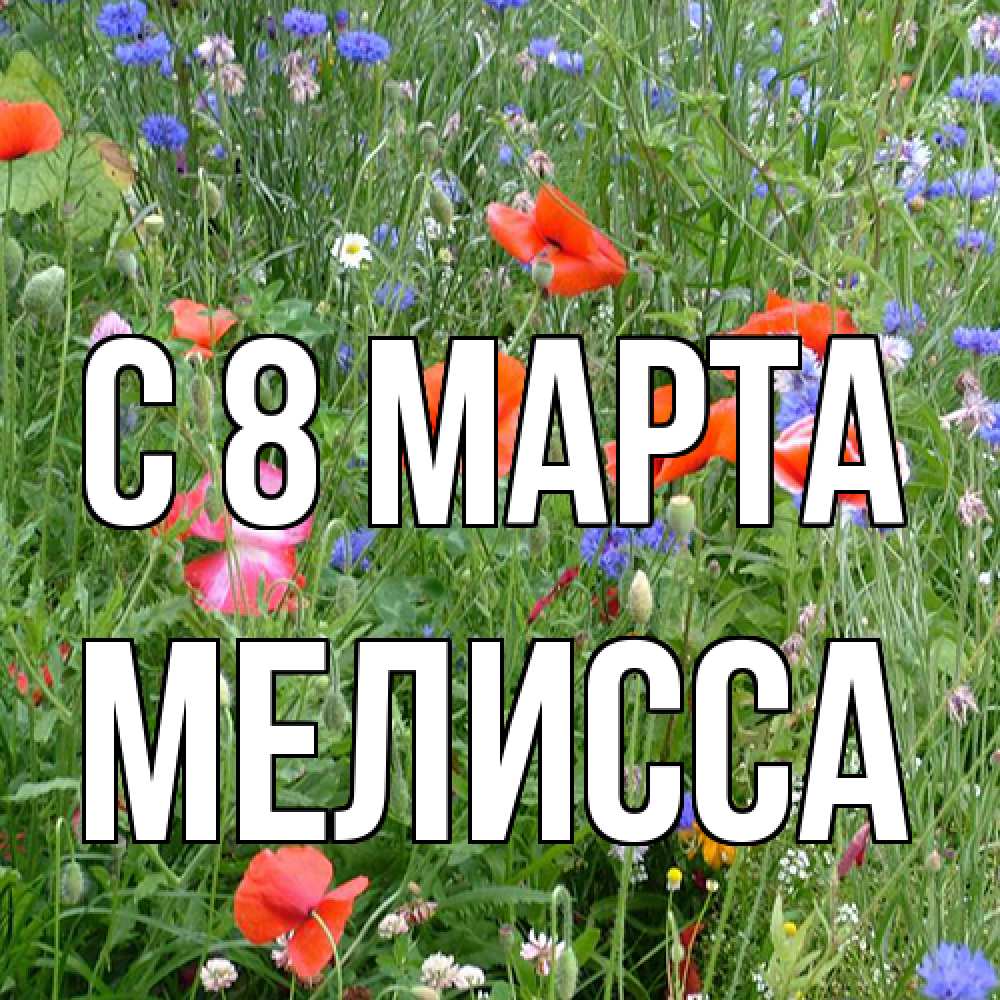 Открытка на каждый день с именем, Мелисса C 8 МАРТА международный женский день 4 Прикольная открытка с пожеланием онлайн скачать бесплатно 