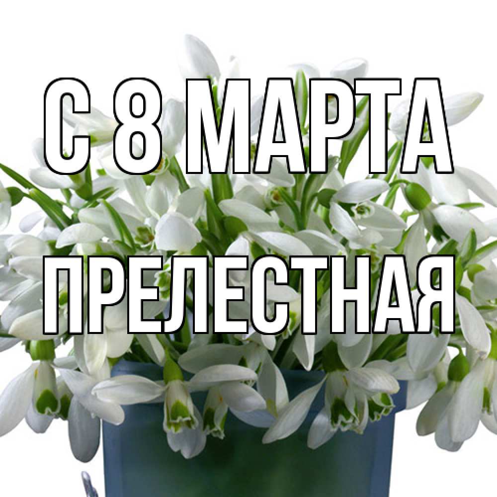 Открытка на каждый день с именем, Прелестная C 8 МАРТА цветы к международному женскому дню Прикольная открытка с пожеланием онлайн скачать бесплатно 
