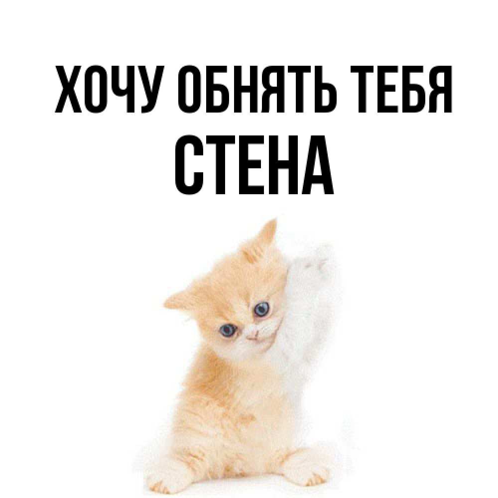 Открытка на каждый день с именем, Стена Хочу обнять тебя я хочу очень скорее обнимаешек Прикольная открытка с пожеланием онлайн скачать бесплатно 