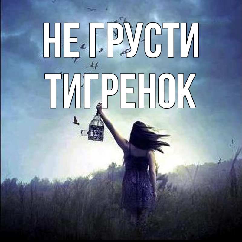 Картинка Не грусти, Тигpенок