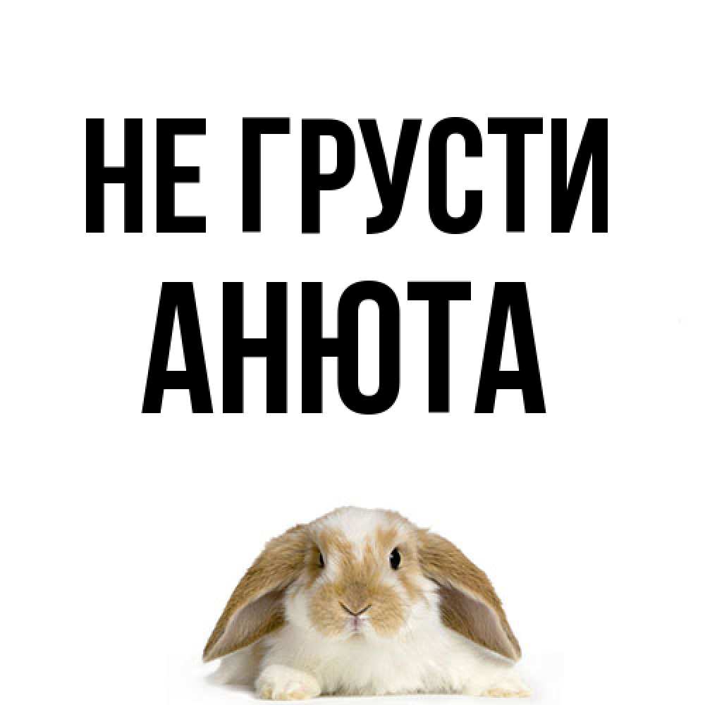 Открытка на каждый день с именем, Анюта Не грусти коричнево белый заяц с большими ушками Прикольная открытка с пожеланием онлайн скачать бесплатно 