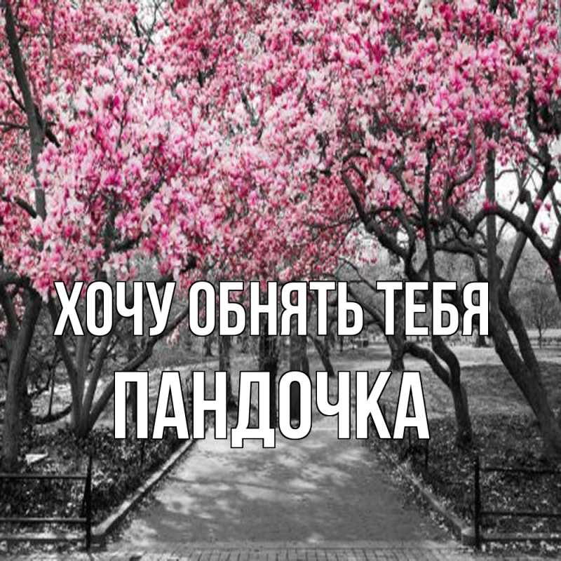 Картинка Хочу обнять тебя, пандочка