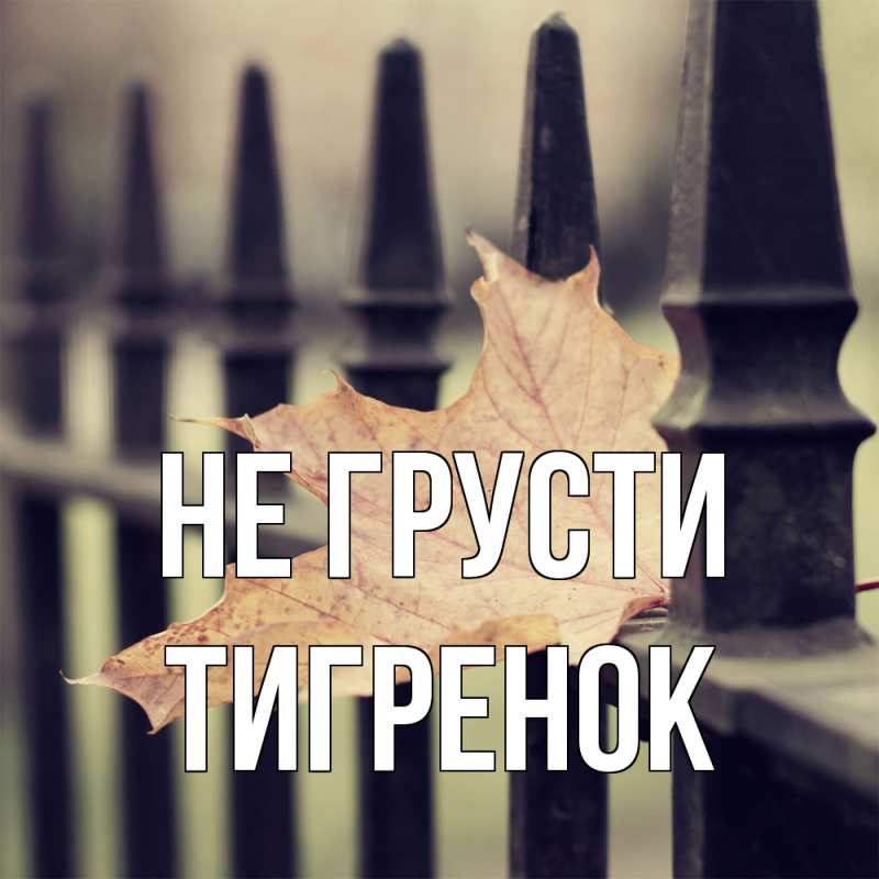 Картинка Не грусти, Тигpенок