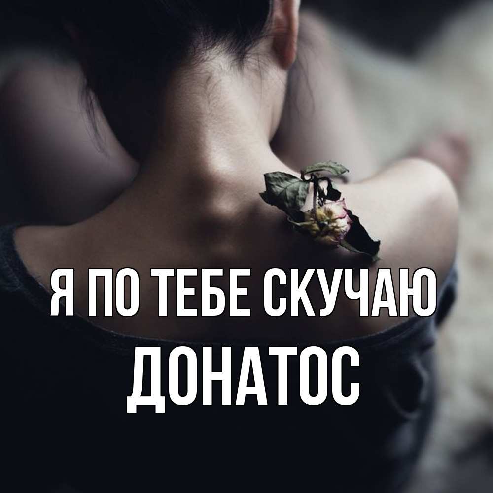 Открытка на каждый день с именем, Донатос Я по тебе скучаю засох цветок Прикольная открытка с пожеланием онлайн скачать бесплатно 