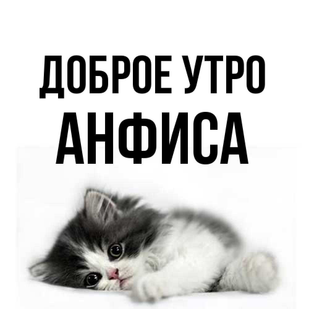 Открытка на каждый день с именем, Анфиса Доброе утро кот лапки Прикольная открытка с пожеланием онлайн скачать бесплатно 