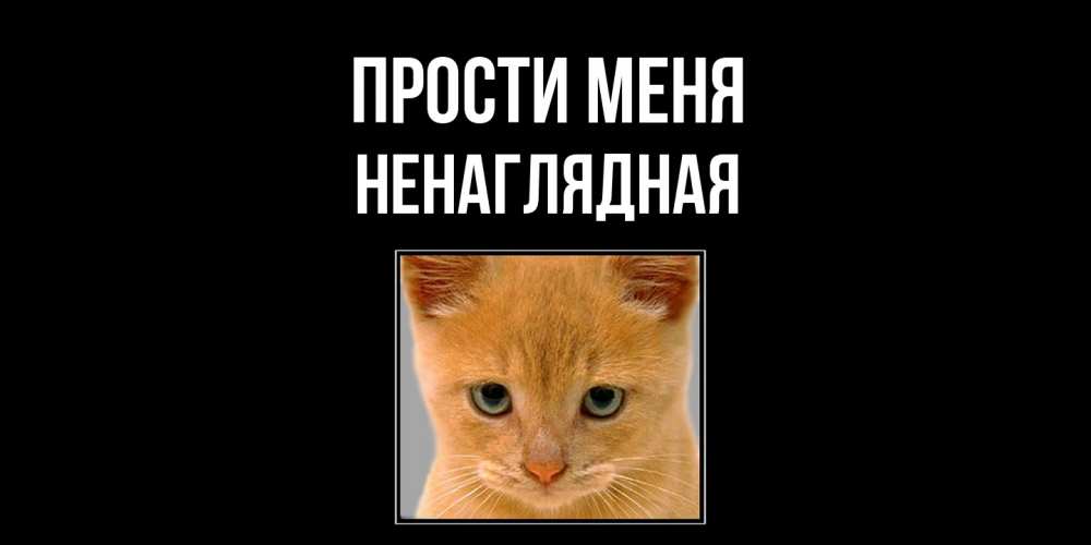Открытка на каждый день с именем, Ненаглядная Прости меня рыжий грустный кот просит прощения Прикольная открытка с пожеланием онлайн скачать бесплатно 