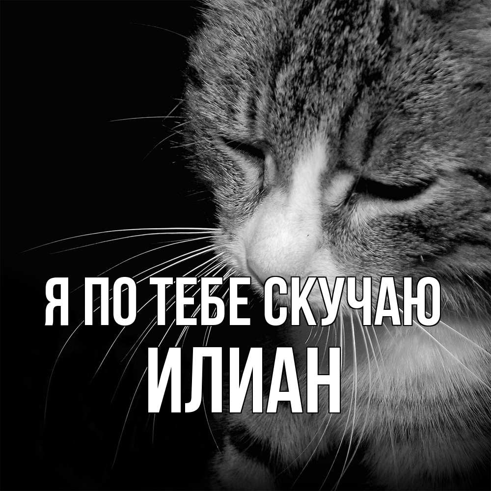 Открытка на каждый день с именем, Илиан Я по тебе скучаю мне скучно Прикольная открытка с пожеланием онлайн скачать бесплатно 