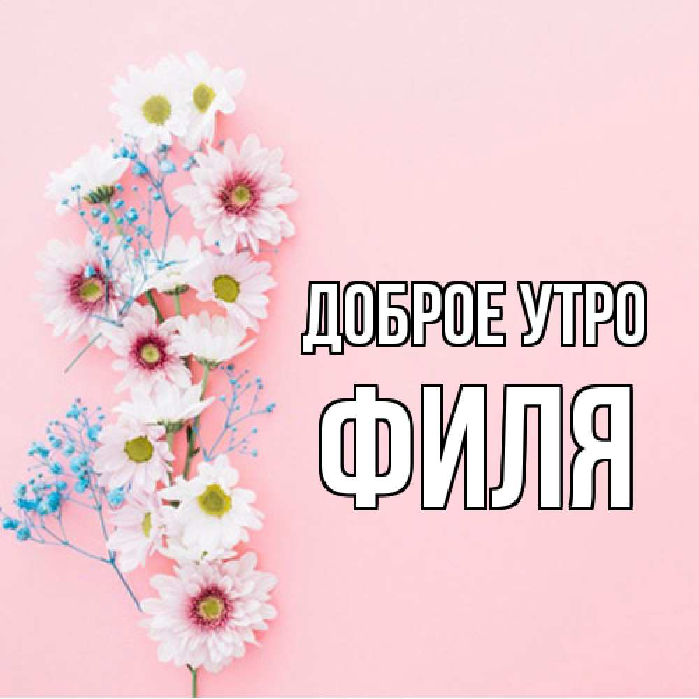 Открытка на каждый день с именем, Филя Доброе утро цветы с подписью Прикольная открытка с пожеланием онлайн скачать бесплатно 