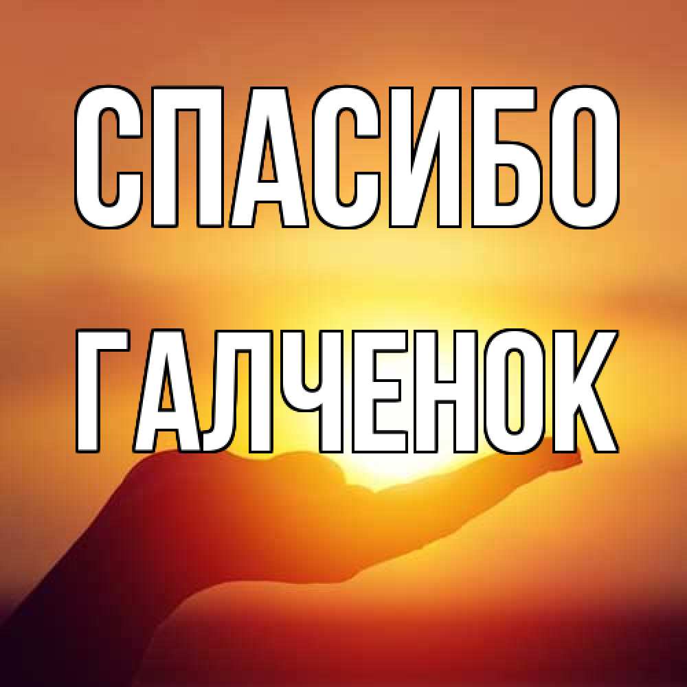 Открытка на каждый день с именем, Галченок Спасибо закат Прикольная открытка с пожеланием онлайн скачать бесплатно 