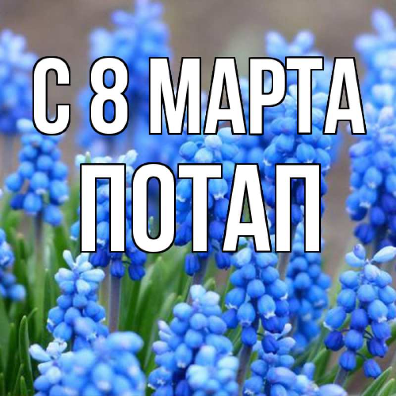 Картинка C 8 МАРТА, Потап