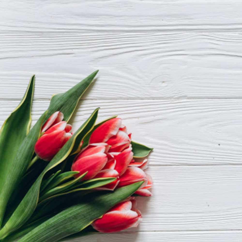 Открытка на каждый день с именем, Тарталетка C 8 МАРТА весна 2 Прикольная открытка с пожеланием онлайн скачать бесплатно 