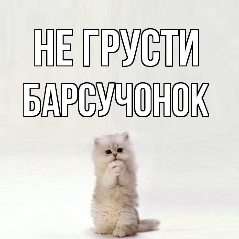 Открытка на каждый день с именем, Барсучонок Не грусти грустный кот Прикольная открытка с пожеланием онлайн скачать бесплатно 