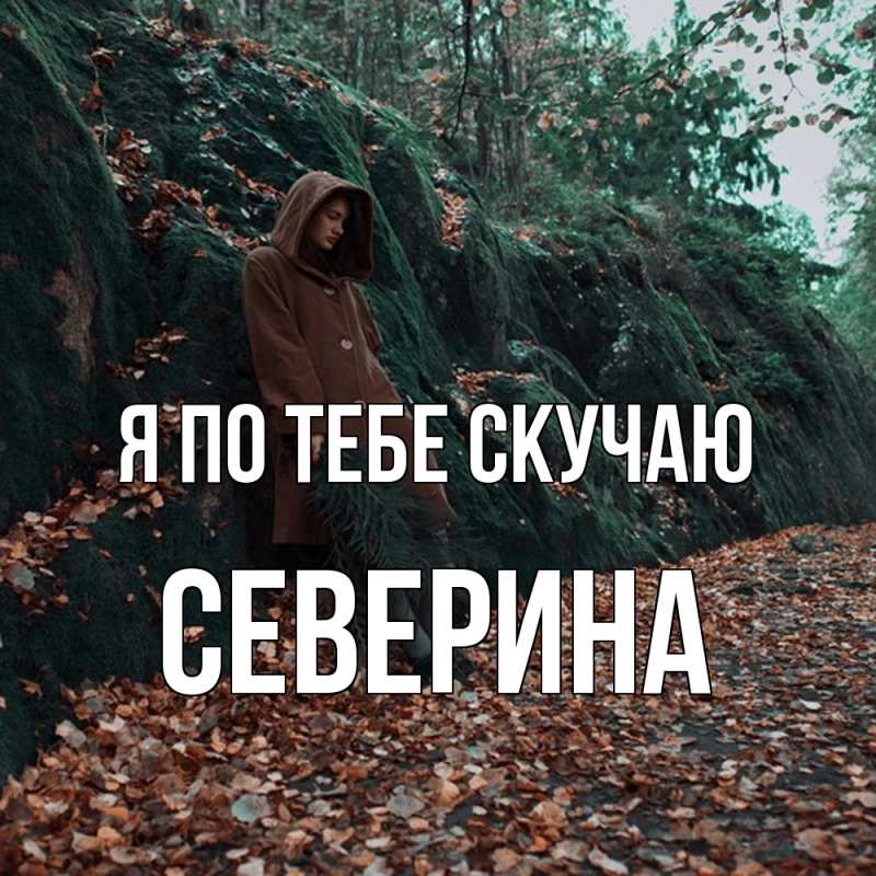 Картинка Я по тебе скучаю, Северина