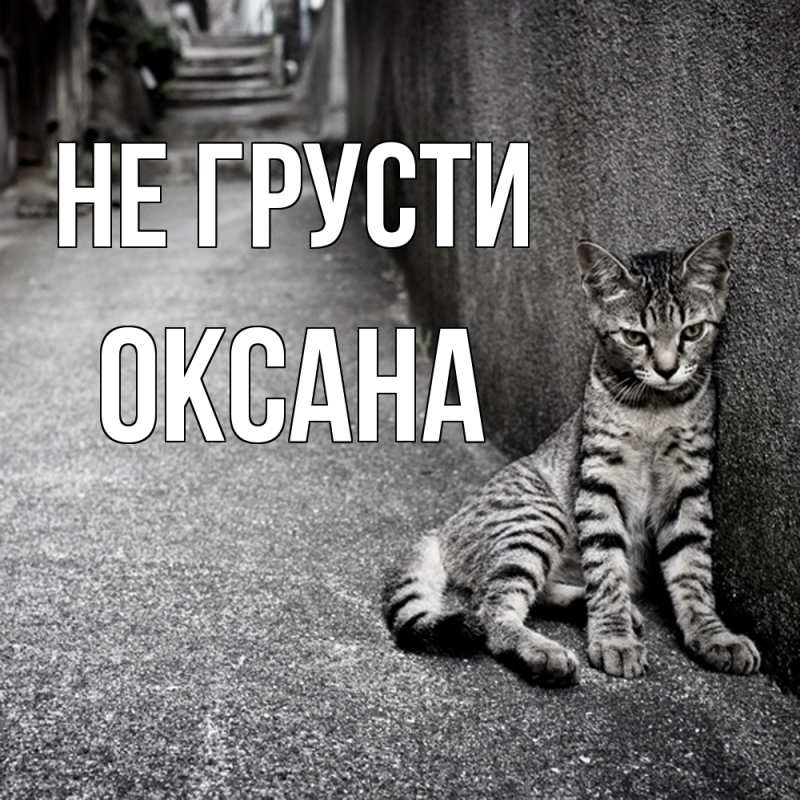 Открытка с именем, оксана, Не грусти