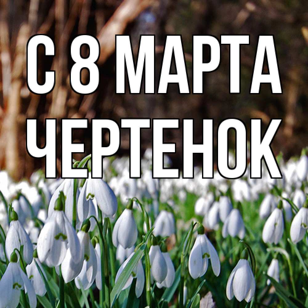 Открытка на каждый день с именем, чеpтенок C 8 МАРТА с подснежниками 1 Прикольная открытка с пожеланием онлайн скачать бесплатно 